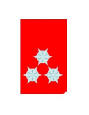 Kragenspiegel Paar - HFM