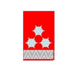 Kragenspiegel Paar - HLM